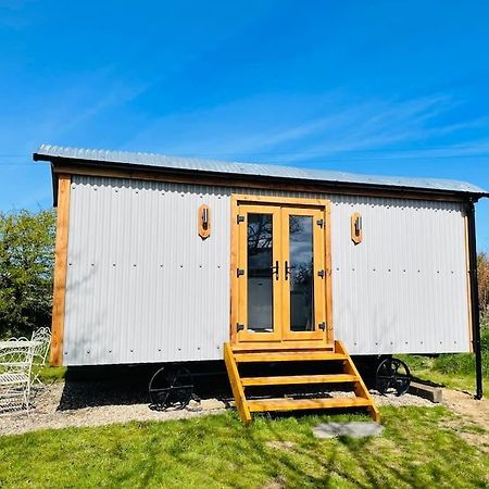 The Hut@Trefechan Wen - Coastal Coziness! Goodwick Eksteriør billede