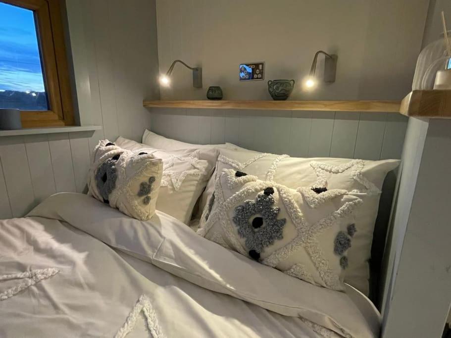 The Hut@Trefechan Wen - Coastal Coziness! Goodwick Eksteriør billede