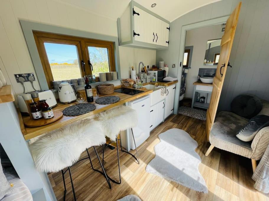 The Hut@Trefechan Wen - Coastal Coziness! Goodwick Eksteriør billede