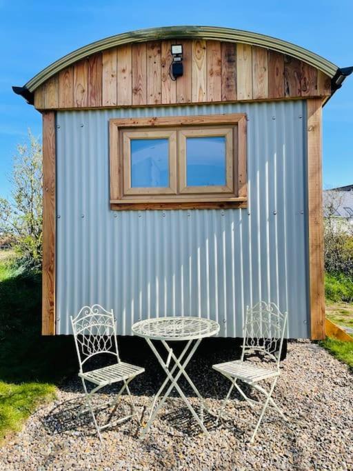 The Hut@Trefechan Wen - Coastal Coziness! Goodwick Eksteriør billede