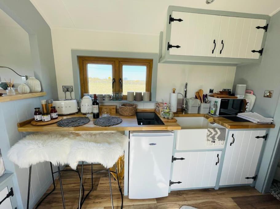 The Hut@Trefechan Wen - Coastal Coziness! Goodwick Eksteriør billede